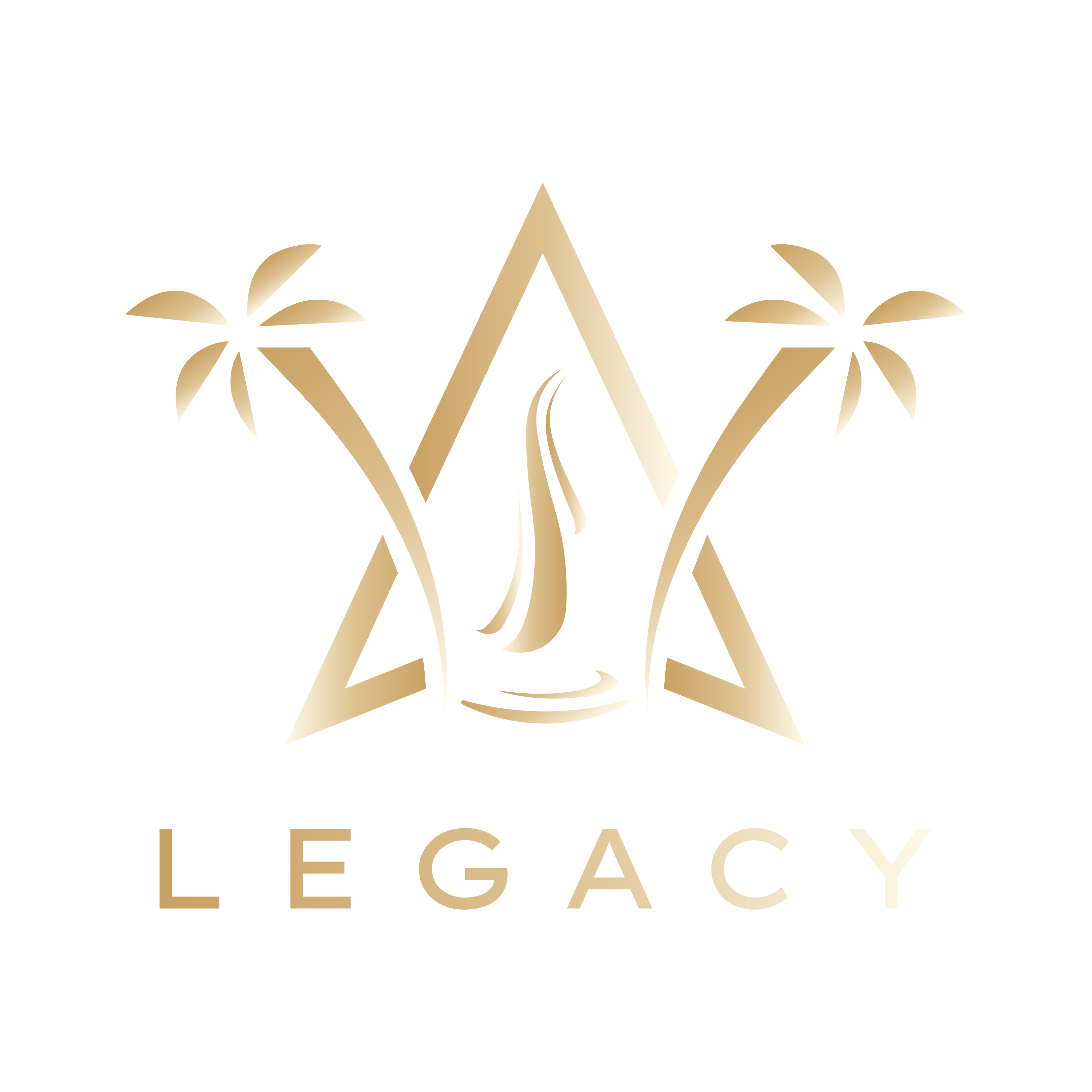 Legacy Miches developer